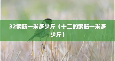 32钢筋一米多少斤（十二的钢筋一米多少斤）