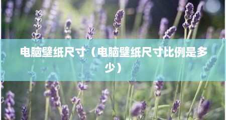 电脑壁纸尺寸（电脑壁纸尺寸比例是多少）