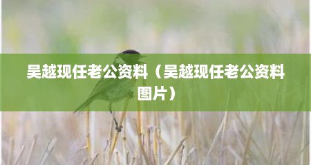 吴越现任老公资料（吴越现任老公资料图片）