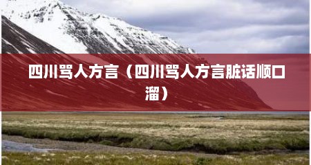 四川骂人方言（四川骂人方言脏话顺口溜）