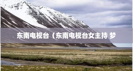 东南电视台（东南电视台女主持 梦