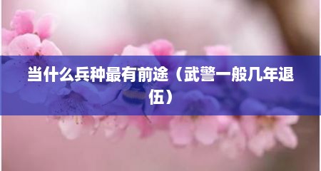 当什么兵种最有前途（武警一般几年退伍）