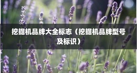 挖掘机品牌大全标志（挖掘机品牌型号及标识）