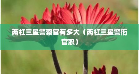 两杠三星警察官有多大（两杠三星警衔官职）