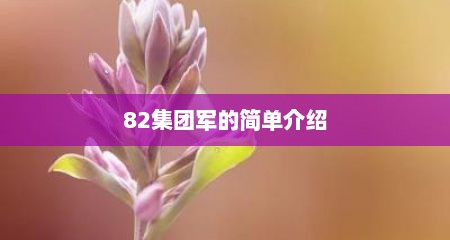 82集团军的简单介绍