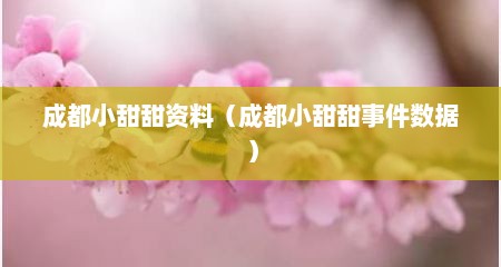 成都小甜甜资料（成都小甜甜事件数据）