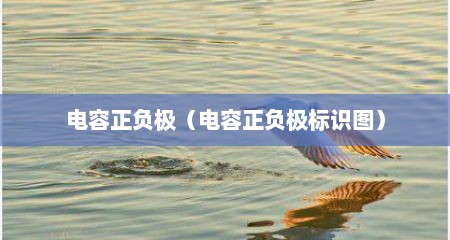 电容正负极（电容正负极标识图）