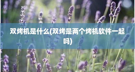 双烤机是什么(双烤是两个烤机软件一起吗)