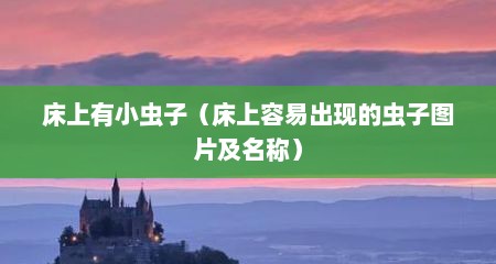 床上有小虫子（床上容易出现的虫子图片及名称）