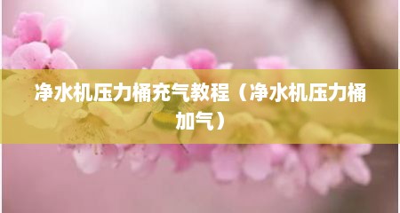 净水机压力桶充气教程（净水机压力桶加气）