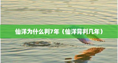 仙洋为什么判7年（仙洋背判几年）