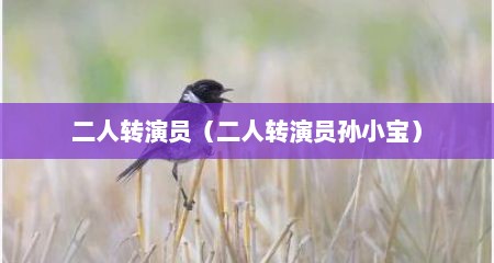 二人转演员（二人转演员孙小宝）