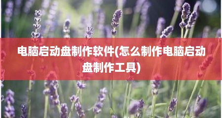 电脑启动盘制作软件(怎么制作电脑启动盘制作工具)
