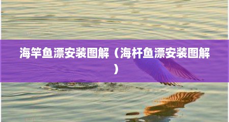 海竿鱼漂安装图解（海杆鱼漂安装图解）