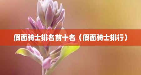 假面骑士排名前十名（假面骑士排行）
