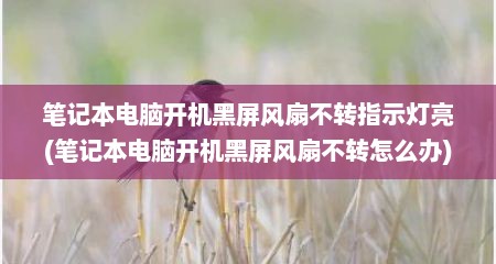 笔记本电脑开机黑屏风扇不转指示灯亮(笔记本电脑开机黑屏风扇不转怎么办)