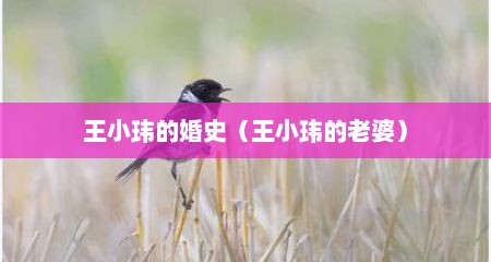 王小玮的婚史（王小玮的老婆）