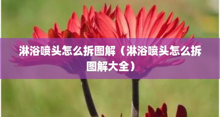 淋浴喷头怎么拆图解（淋浴喷头怎么拆图解大全）