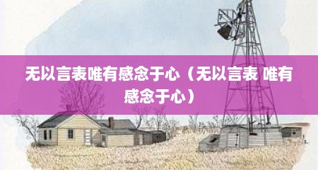 无以言表唯有感念于心（无以言表 唯有感念于心）