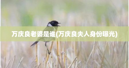 万庆良老婆是谁(万庆良夫人身份曝光)