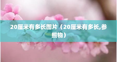 20厘米有多长图片（20厘米有多长,参照物）