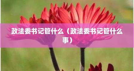 政法委书记管什么（政法委书记管什么事）