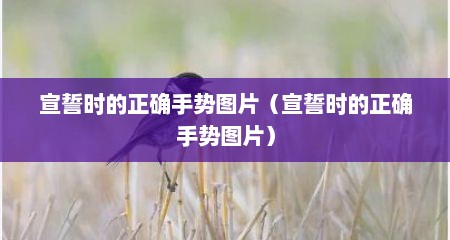 宣誓时的正确手势图片（宣誓时的正确手势图片）