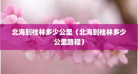 北海到桂林多少公里（北海到桂林多少公里路程）