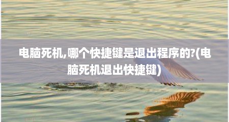 电脑死机,哪个快捷键是退出程序的?(电脑死机退出快捷键)