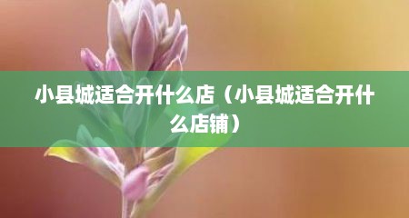小县城适合开什么店（小县城适合开什么店铺）