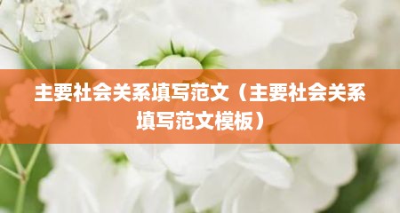 主要社会关系填写范文（主要社会关系填写范文模板）