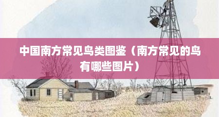 中国南方常见鸟类图鉴（南方常见的鸟有哪些图片）