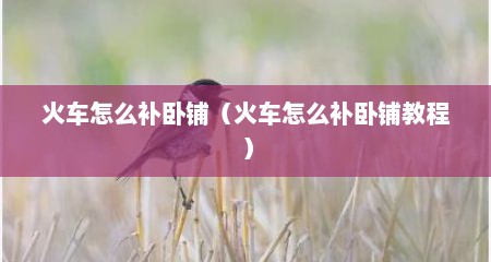 火车怎么补卧铺（火车怎么补卧铺教程）