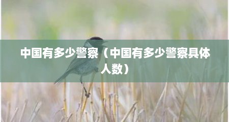 中国有多少警察（中国有多少警察具体人数）