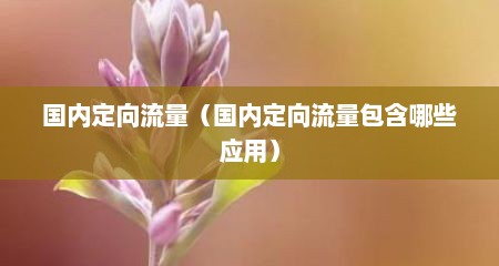国内定向流量（国内定向流量包含哪些应用）