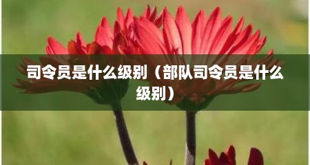 司令员是什么级别（部队司令员是什么级别）