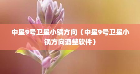 中星9号卫星小锅方向（中星9号卫星小锅方向调整软件）