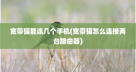 宽带猫能连几个手机(宽带猫怎么连接两台路由器)
