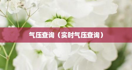 气压查询（实时气压查询）