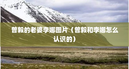 曾毅的老婆李娜图片（曾毅和李娜怎么认识的）