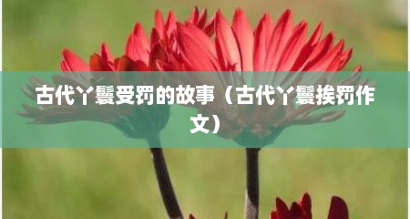 古代丫鬟受罚的故事（古代丫鬟挨罚作文）