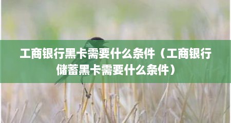 工商银行黑卡需要什么条件（工商银行储蓄黑卡需要什么条件）
