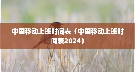 中国移动上班时间表（中国移动上班时间表2024）