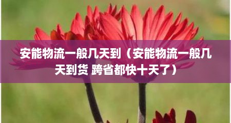 安能物流一般几天到（安能物流一般几天到货 跨省都快十天了）