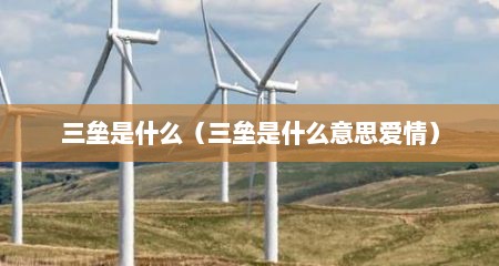 三垒是什么（三垒是什么意思爱情）