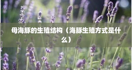 母海豚的生殖结构（海豚生殖方式是什么）
