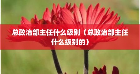 总政治部主任什么级别（总政治部主任什么级别的）