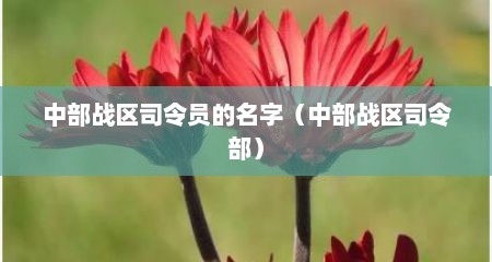 中部战区司令员的名字（中部战区司令部）