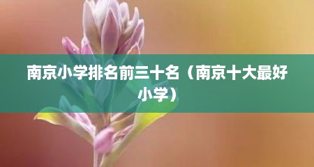 南京小学排名前三十名（南京十大最好小学）