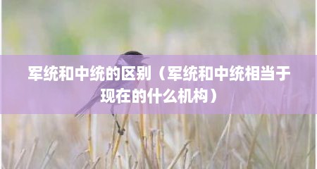军统和中统的区别（军统和中统相当于现在的什么机构）
